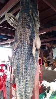 1671266076744.jpg - เที่ยวประเทศกัมพูชา | https://sumnangtravel.com