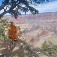 692608_0.jpg - วันนี้​มาชม​ ป่า​ เขา​ และแม่น้ำ ที่​ grand Canyon | https://sumnangtravel.com