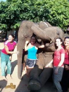 FB_IMG_1546609636415_0.jpg - Home stay Elephant Village Surin Thailand | https://sumnangtravel.com