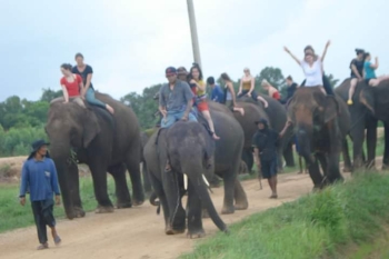 FB_IMG_1546609737028_0.jpg - Home stay Elephant Village Surin Thailand | https://sumnangtravel.com