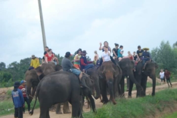 FB_IMG_1546609741604_0.jpg - Home stay Elephant Village Surin Thailand | https://sumnangtravel.com