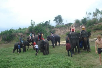 FB_IMG_1546609745426_0.jpg - Home stay Elephant Village Surin Thailand | https://sumnangtravel.com