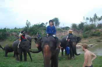 FB_IMG_1546609749111_0.jpg - Home stay Elephant Village Surin Thailand | https://sumnangtravel.com