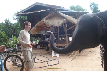FB_IMG_1546609764137_0.jpg - Home stay Elephant Village Surin Thailand | https://sumnangtravel.com