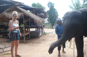 FB_IMG_1546609770877_1.jpg - Home stay Elephant Village Surin Thailand | https://sumnangtravel.com