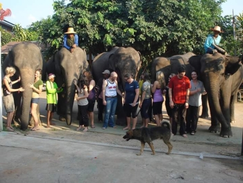 FB_IMG_1546609849566_0.jpg - Home stay Elephant Village Surin Thailand | https://sumnangtravel.com