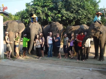 FB_IMG_1546609856408_0.jpg - Home stay Elephant Village Surin Thailand | https://sumnangtravel.com
