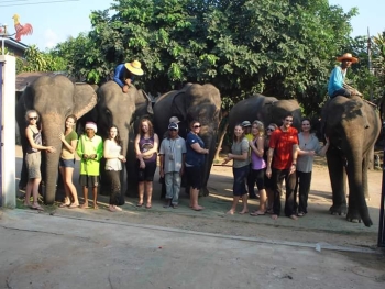 FB_IMG_1546609859562_0.jpg - Home stay Elephant Village Surin Thailand | https://sumnangtravel.com