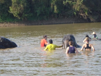 FB_IMG_1546609883882_0.jpg - Home stay Elephant Village Surin Thailand | https://sumnangtravel.com
