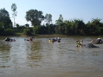 FB_IMG_1546609886837_0.jpg - Home stay Elephant Village Surin Thailand | https://sumnangtravel.com