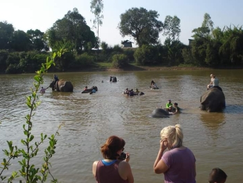FB_IMG_1546609889607_0.jpg - Home stay Elephant Village Surin Thailand | https://sumnangtravel.com