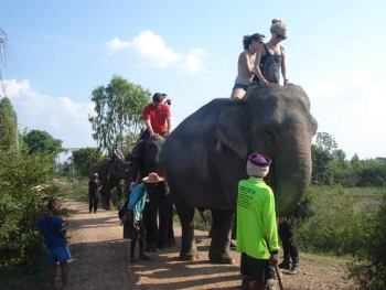 FB_IMG_1546609895037_0.jpg - Home stay Elephant Village Surin Thailand | https://sumnangtravel.com