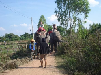 FB_IMG_1546609898037_0.jpg - Home stay Elephant Village Surin Thailand | https://sumnangtravel.com
