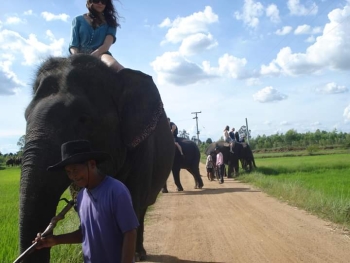 FB_IMG_1546609941324_0.jpg - Home stay Elephant Village Surin Thailand | https://sumnangtravel.com