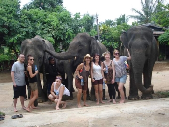 FB_IMG_1546609976208_0.jpg - Home stay Elephant Village Surin Thailand | https://sumnangtravel.com