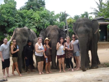 FB_IMG_1546609982465_0.jpg - Home stay Elephant Village Surin Thailand | https://sumnangtravel.com