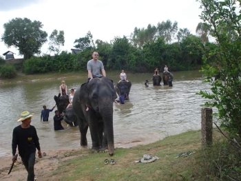 FB_IMG_1546609985356_0.jpg - Home stay Elephant Village Surin Thailand | https://sumnangtravel.com