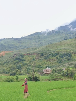 270495_0.jpg - เวียตนาม Hanoi - Sapa ซาปา - Fasipan | https://sumnangtravel.com