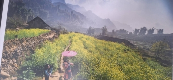 275753_0.jpg - เวียตนาม Hanoi - Sapa ซาปา - Fasipan | https://sumnangtravel.com