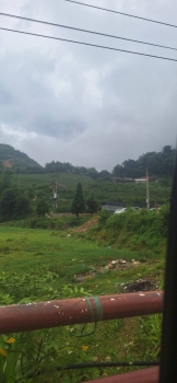 275812_0.jpg - เวียตนาม Hanoi - Sapa ซาปา - Fasipan | https://sumnangtravel.com