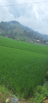 275824.jpg - เวียตนาม Hanoi - Sapa ซาปา - Fasipan | https://sumnangtravel.com