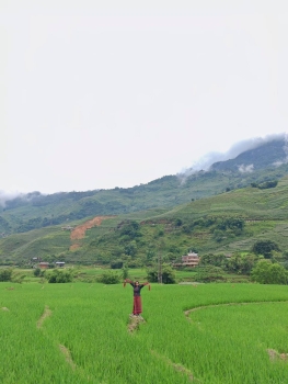 275845_1.jpg - เวียตนาม Hanoi - Sapa ซาปา - Fasipan | https://sumnangtravel.com