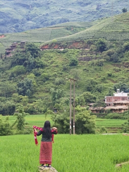 275850_0.jpg - เวียตนาม Hanoi - Sapa ซาปา - Fasipan | https://sumnangtravel.com