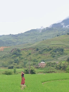 275852_0.jpg - เวียตนาม Hanoi - Sapa ซาปา - Fasipan | https://sumnangtravel.com